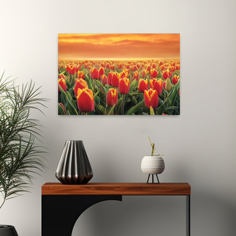 Tulipes en feu, tulipe contemporaine, paysage, art naturel, H 16 po x l 24 po
