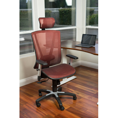 Chaise Stoltenberg