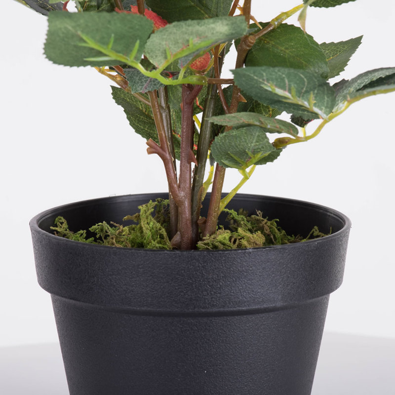 Plante artificielle jaune en pot 21 po, Rouge