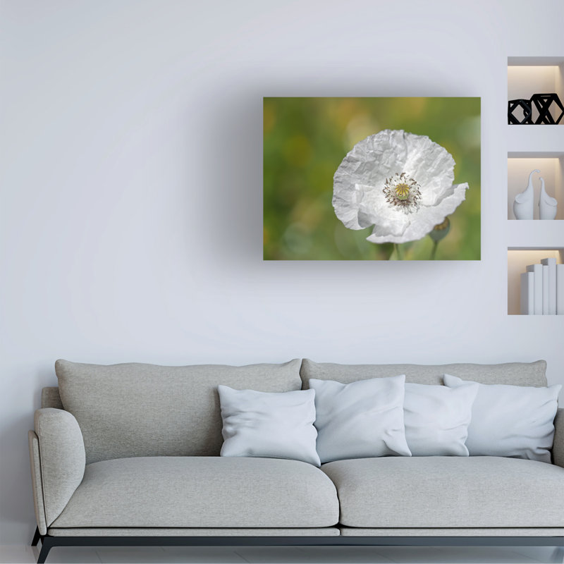 Art sur toile Coquelicot, bolivine, Suzanne Bonin, H 14 po x l 19 po