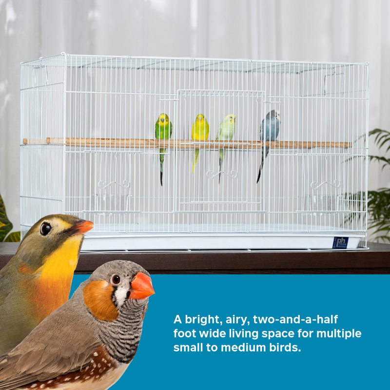 White Metal Flight Bird Cage with Wooden Perches
