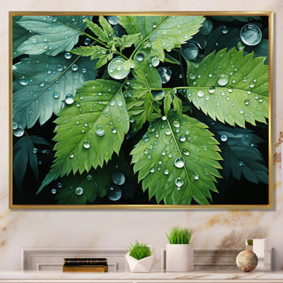 " Ferns Plant Gossamer Veil I "