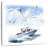 Mehar Speed Boat