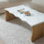 Modern Coffee Table, Organic Shape Accent Table