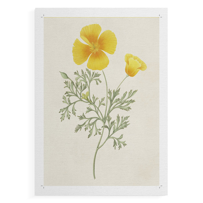 Fleurs des saisons - reproduction imprimée seulement - non encadrée, H 27 po x l 18 po
