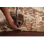 Tapis oriental abstrait marocain noué à la main 4 x 6