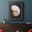 Graphic Nautilus - Peinture sur toile encadrée-1696427890