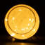 LED Indoor / Outdoor Single Christmas Light
