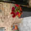 Customer photo 3 of 3