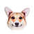 Corgi is out of stock