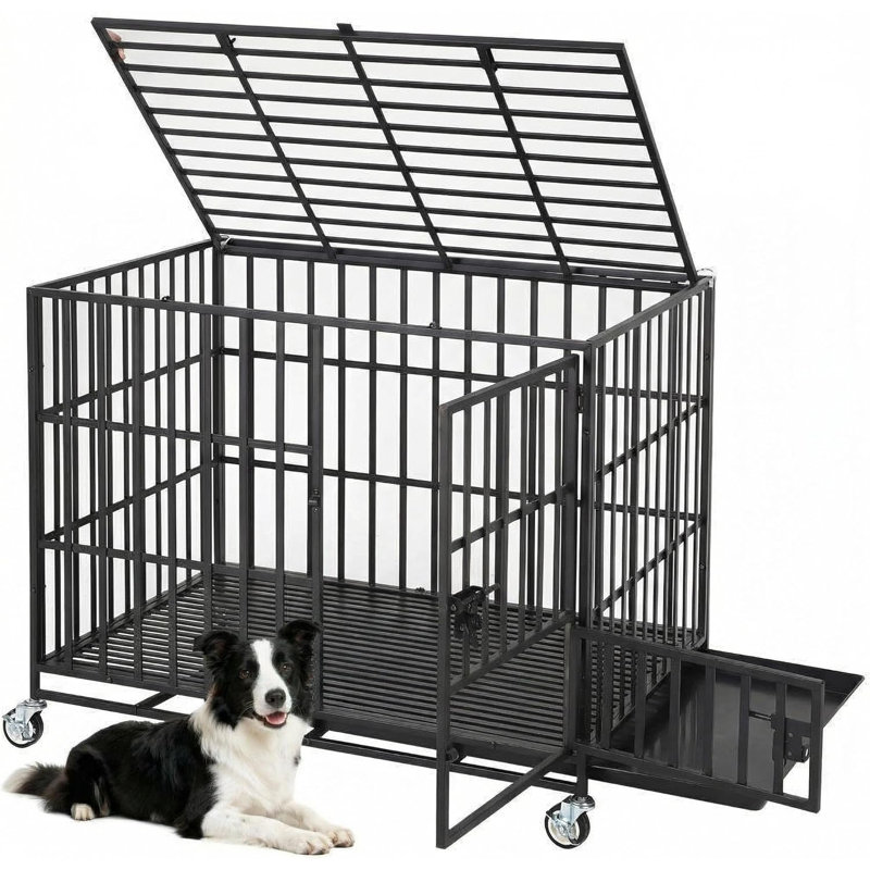 Cage pour chien de 42 pouces à l'épreuve des fuites intérieure avec 3 portes, H 33,86 po x l 42,13 po x P 29,53 po