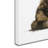 Armand 'Tortoiseshell' Print on Canvas-21647378