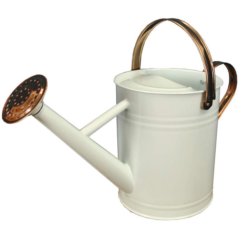 Metal Watering Can, Ivory