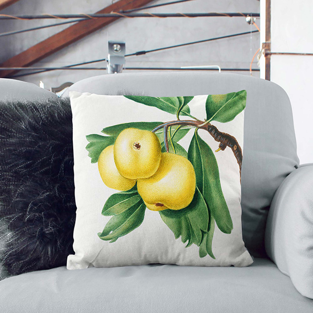 Hawthorn Apple Tree by Giorgio Gallesio Cushion with Filling