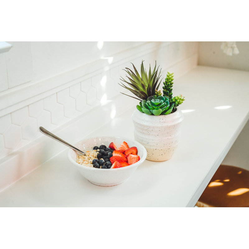 Plante succulent dans un pot de fleurs