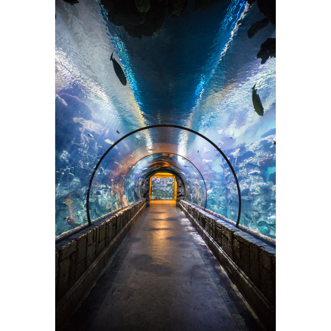 Tunnel im Inneren eines Aquariums