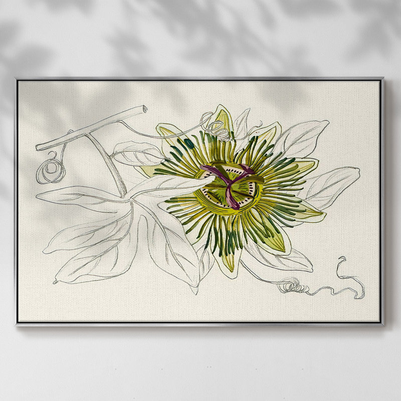Passionflower IV, reproduction d'art sur toile encadrée, H 17 po x l 25 po x P 2 po, Argent