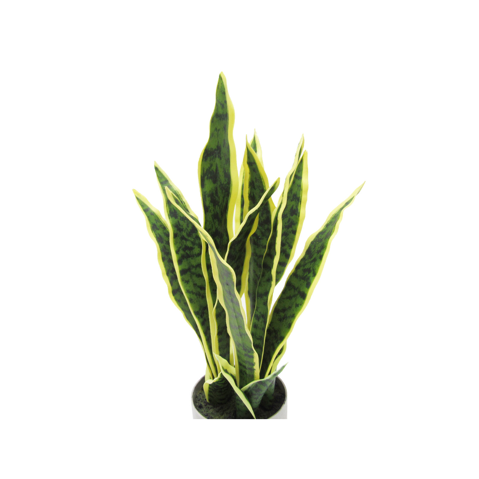 Artificial Sansevieria Snake Plant in Pot, 18'' H x 9'' W x 6'' D