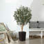 Adcock Artificial Olive Tree with Decorative Pot, UV Resistant Faux Olive Tree with Natural Trunk-700034063-700034058