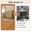 Wall Mounted Required Bathroom Cabinet
