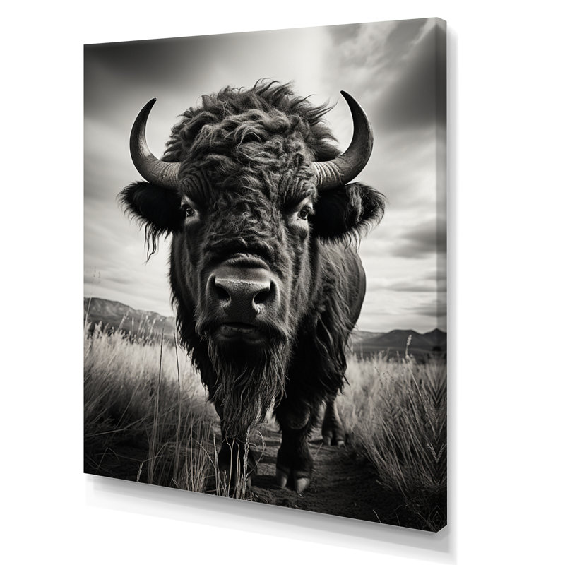 Bison Tales Of The Prairies - animaux, impressions sur toile, Toile tendue, H 20 po x l 12 po x P 1 po