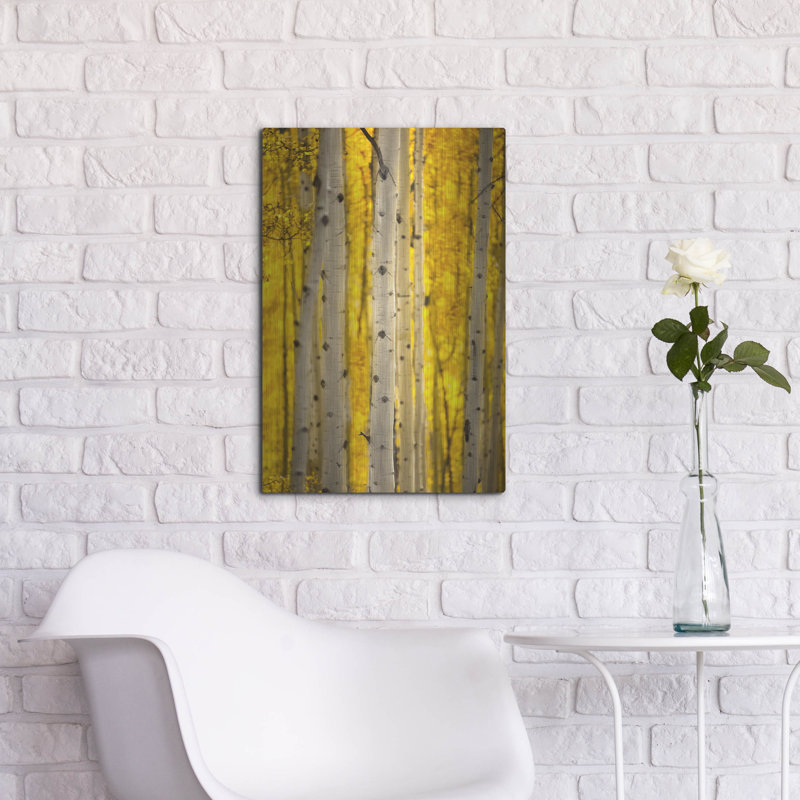 "Aspen Trees" par Jonathan Ross, H 24 po x l 16 po