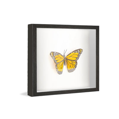 Chapnick Solid Wood Shadow Box Picture Frame