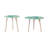 Nature-Inspired Side Tables Set