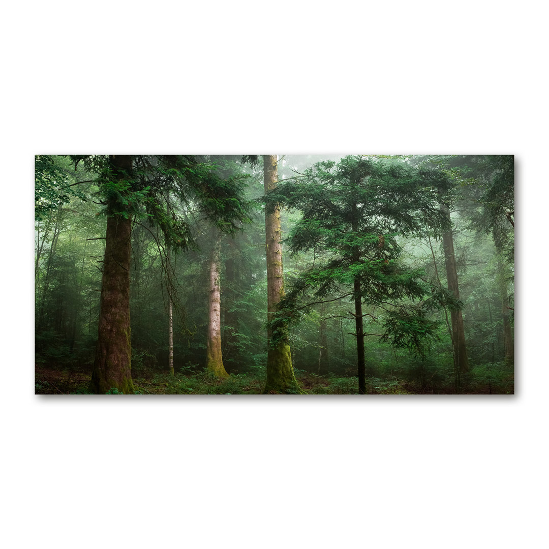 Nebel im Wald - Kunstdrucke auf Leinwand - Wrapped Canvas