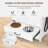 Pet Elevated Feeder