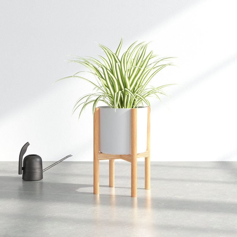 Dominic Pot Planter, White/Beech Natural