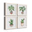 Boho Greenery I - ensemble de 4 peintures sur toile encadrées-60149339-60149338