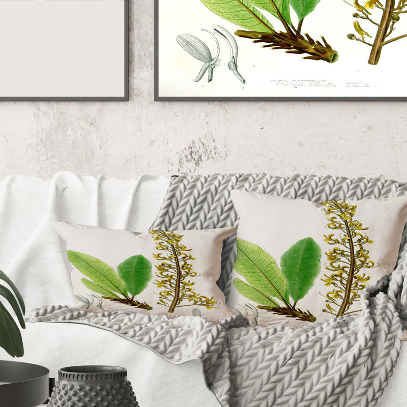 Housse et insert de coussin brésilien brésilien IV