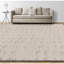 Windsom One-of-a-Kind Area Rug-47856437