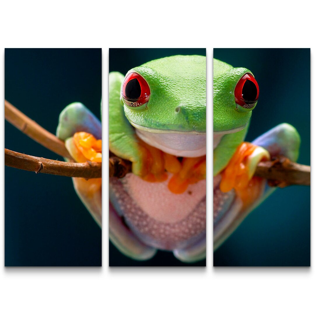 3-tlg. Leinwandbilder-Set Frosch mit roten Augen