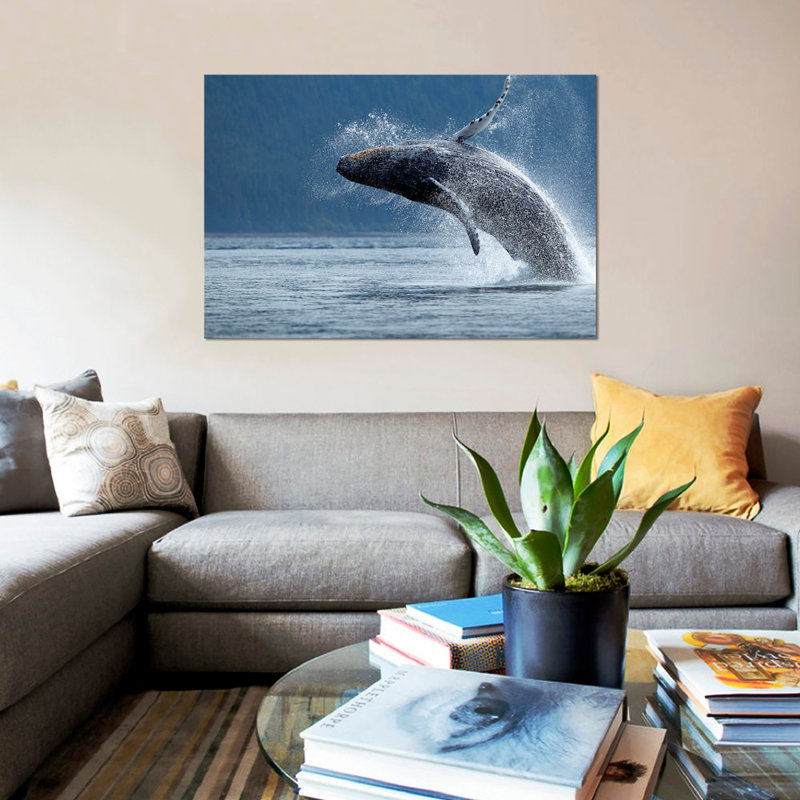 «Breaching Humpback Whale, Chatham Strait, Alaska, USA», impression sur toile, H 8 po x l 12 po x P 0,75 po, Toile tendue