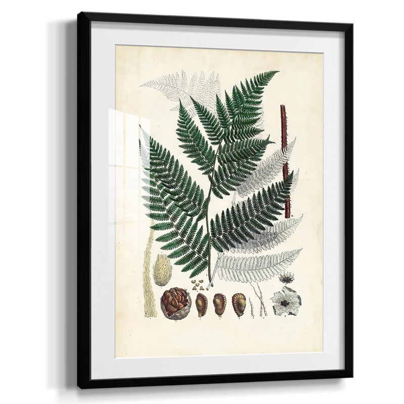 Warm Rays II, reproduction encadrée, Papier avec cadre noir, Blanc