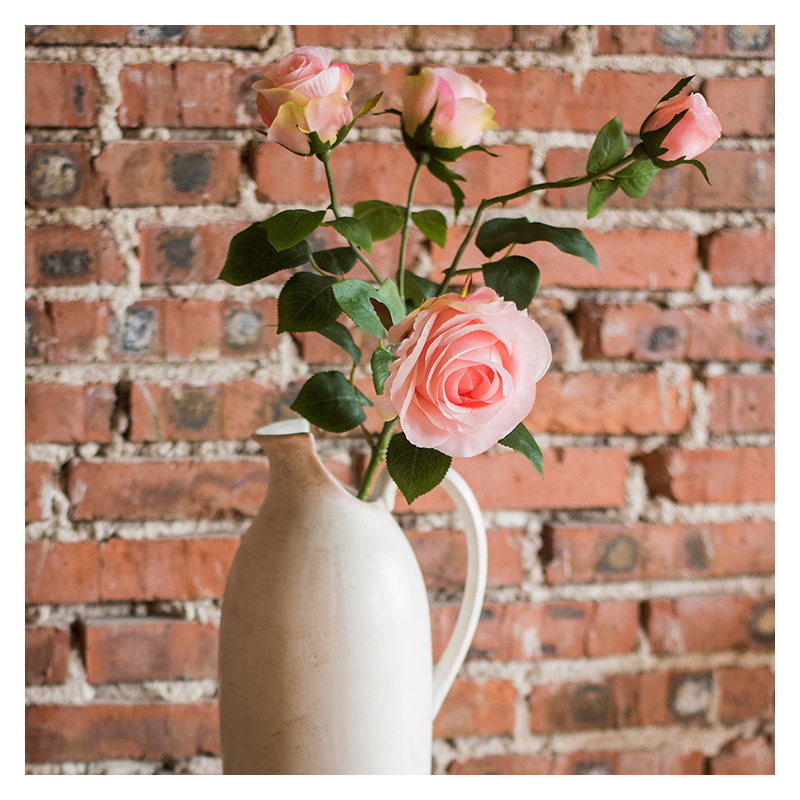Tige de rose rustique rose