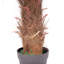 100cm Faux Plant in Pot Liner