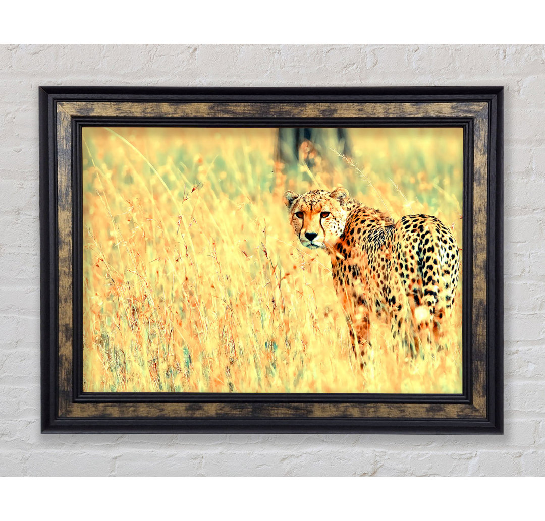 Beautiful Cheetah - Einzelner Bilderrahmen Kunstdrucke