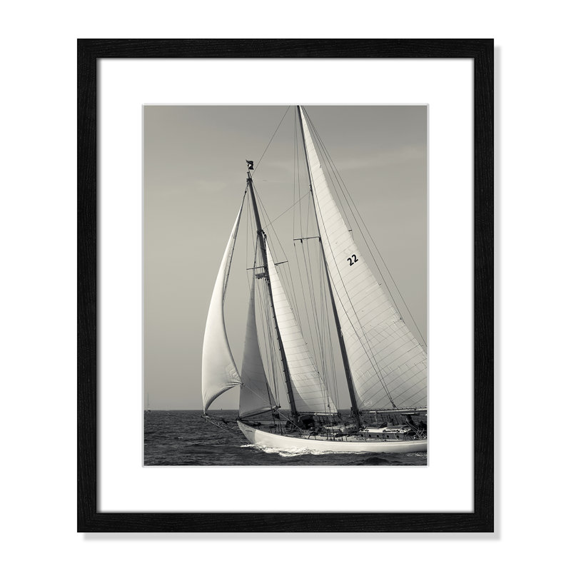 Amaryl Fair Wind par Danita Delimont - reproduction de photo encadrée, H 19 po x l 16 po x P 0,75 po, Cadre noir