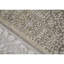 Oriental Area Rug