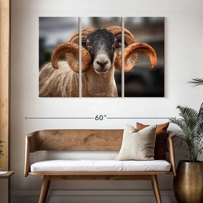 Brampt Scottish Blackface Ram, 32" H x 50" W