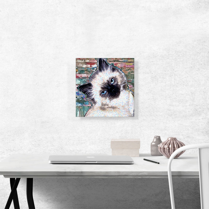 Himalayan Cat Breed Kitten - Reproduction d'art sur toile tendue, H 12 po x l 12 po x P 1,5 po