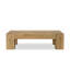 Abaso Coffee Table-1666499039-1638424948