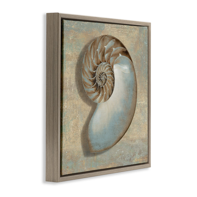 "Shell Beach", art mural encadré flottant par Caroline Kelly, H 25 po x l 25 po, Cadre flottant orme Montalcino