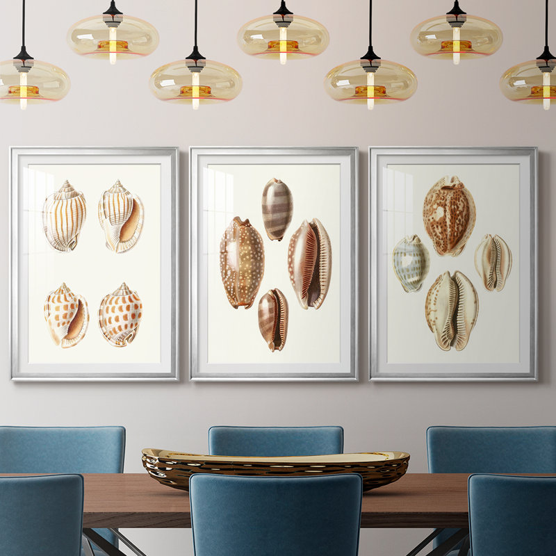 Lamarck Shells I - reproduction sur mesure encadrée de qualité supérieure - 3 pièces, Argent argent, H 21 po x l 30 po