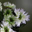 33cm Faux Flowering Plant in Pot Liner-75959753