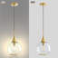 Luminaire suspendu simple à 1 lumière avec verre transparent-1260606668