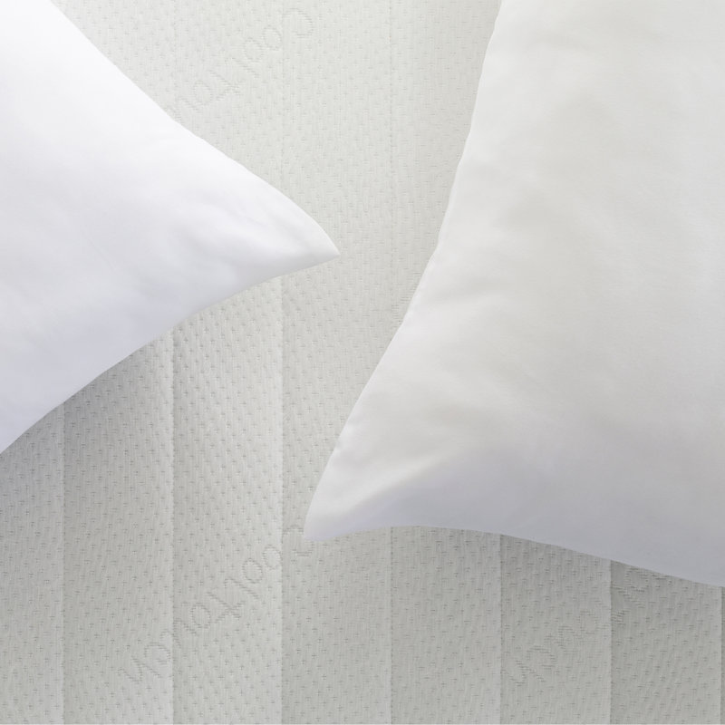 Microfibre Soft Support Pillow, 2 Pack